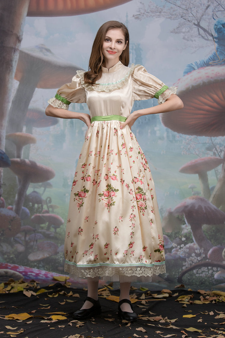 Little Red Riding Hood Costume for Women, costume photo