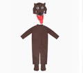 Brown Wolf Animal Costume for Kids, product photo 5 on a white background