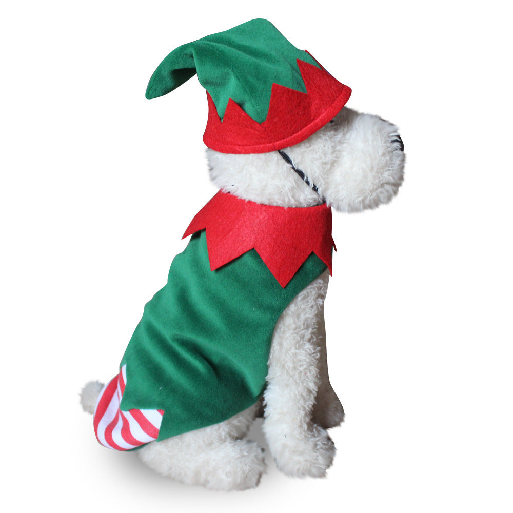 Dog Halloween costume with funny costumes