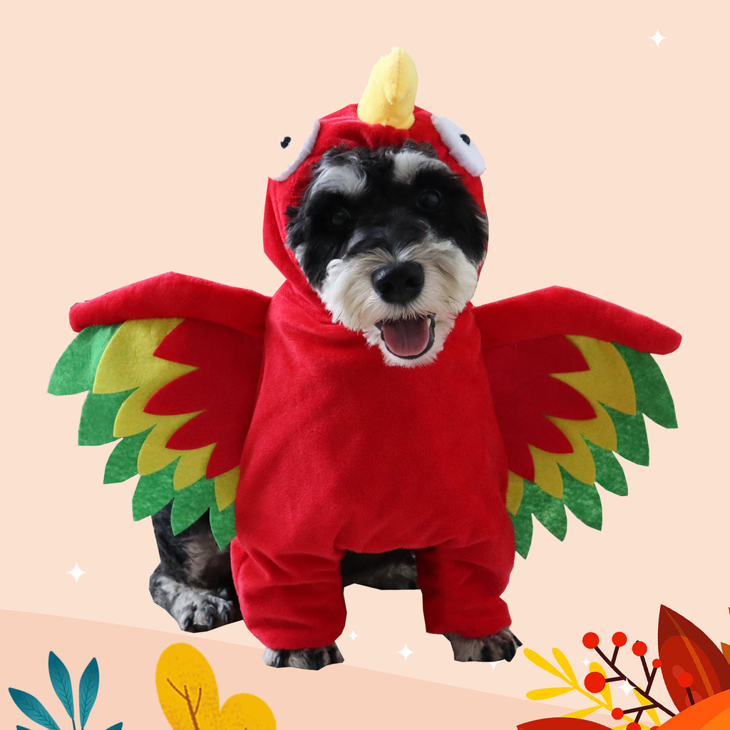 Turkey Pet Costume for Cats and Dogs Halloween Cosplay Outfit