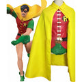 DC Robin Costume for Adults, costume photo